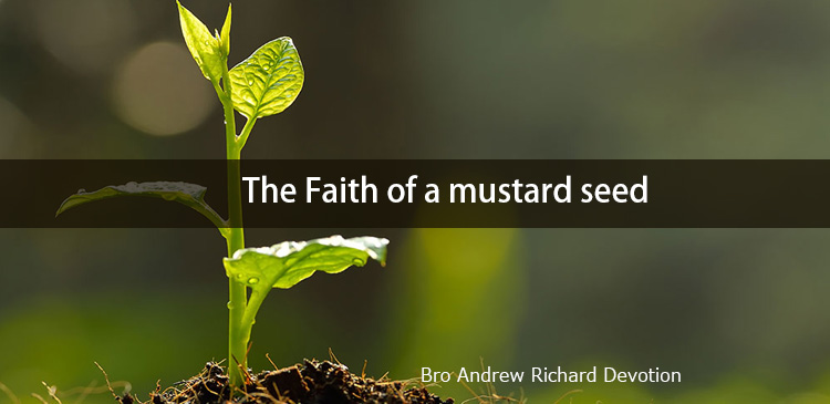 Mustard is a small seed and mountain is a big thing.  Likewise, we need to have faith to move away big hurdles from our life.  The seed is so small but it grows into a big tree.  